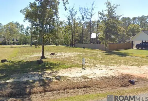 River Point Dr, Springfield, LA 70462