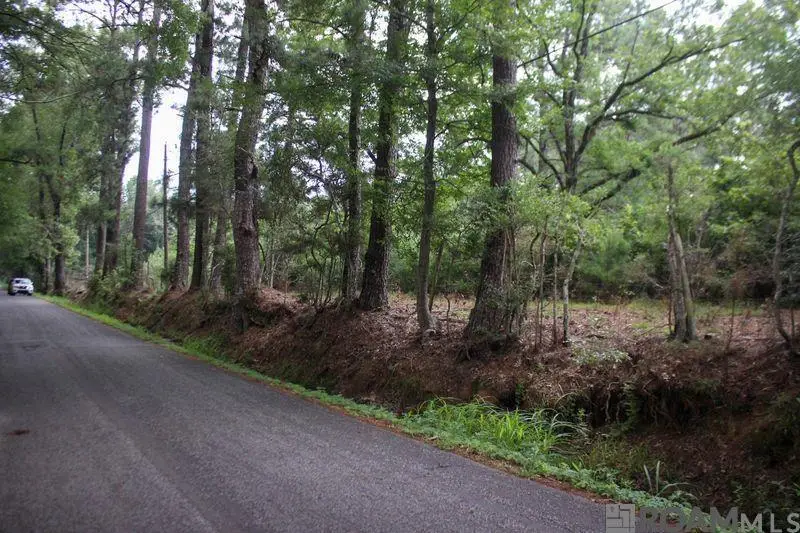 TBD Turner Rd, Ethel, LA 70730 - Image #1