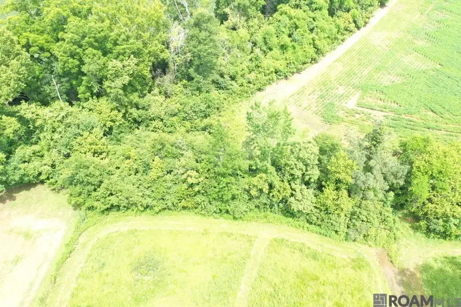 2031 Highway 452, Marksville, LA 71351 - Image #2