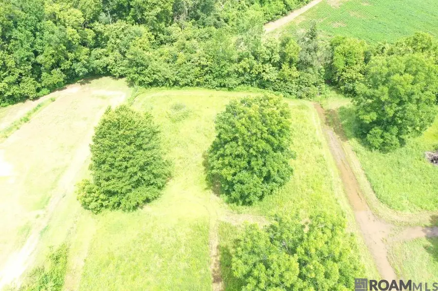 2031 Highway 452, Marksville, LA 71351 - Image #3