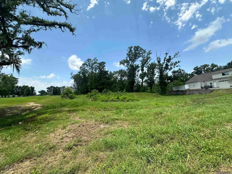 A-1 Swamp Rd, Prairieville, LA 70769 - Image #3