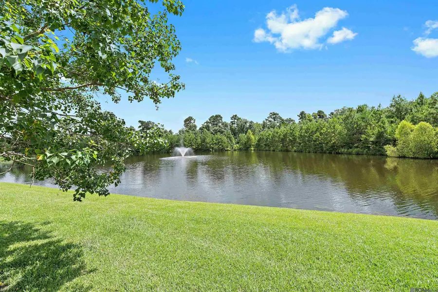 26222 Avoyelles Ave, Denham Springs, LA 70726 - Image #3