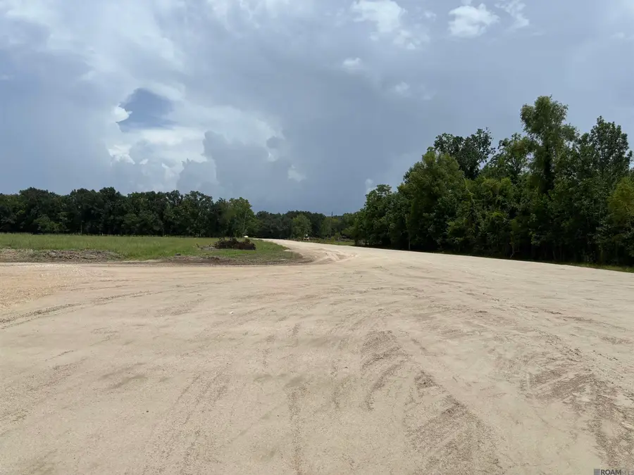 6549 Bowden Rd, Darrow, LA 70725 - Image #3