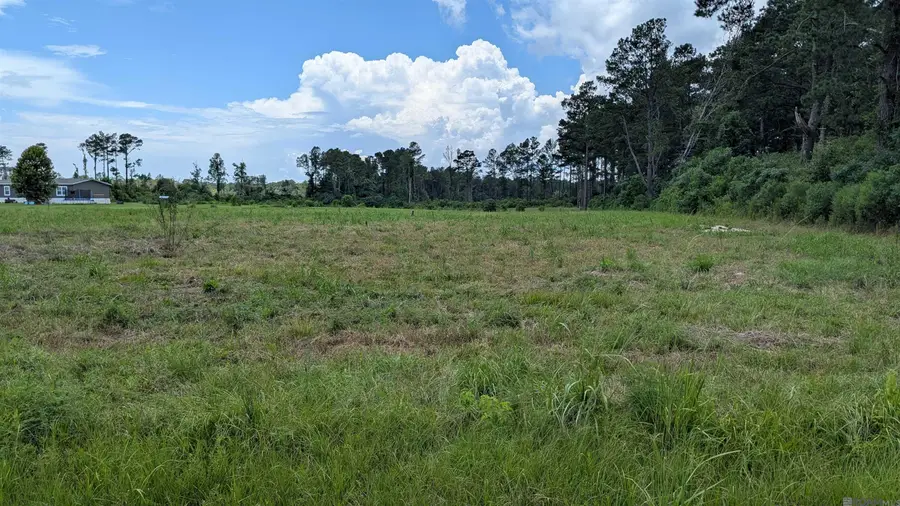 435 Tungoil Rd #Lot 2-B6, Pine Grove, LA 70453 - Image #2