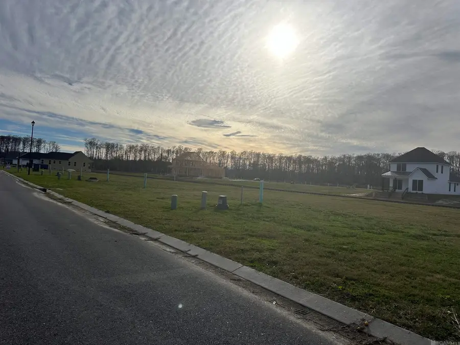 12862 St Croix Ct, Maurepas, LA 70449 - Image #3