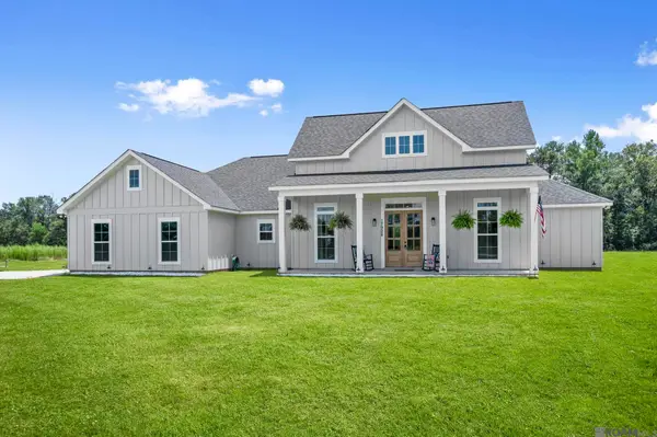 17906 Critter Cove Ln, Livingston, LA 70754