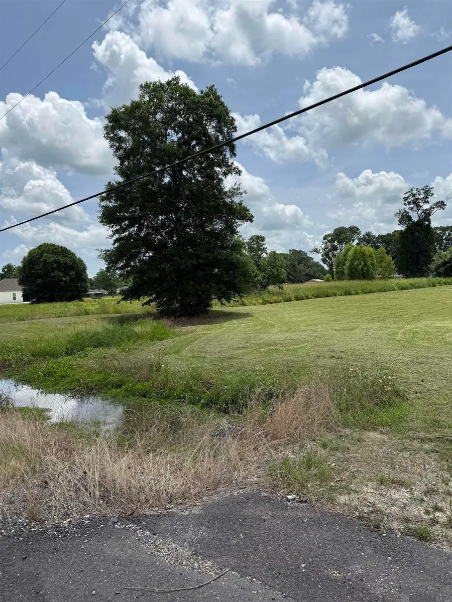 40303 Causey Rd, Prairieville, LA 70769 - Image #2