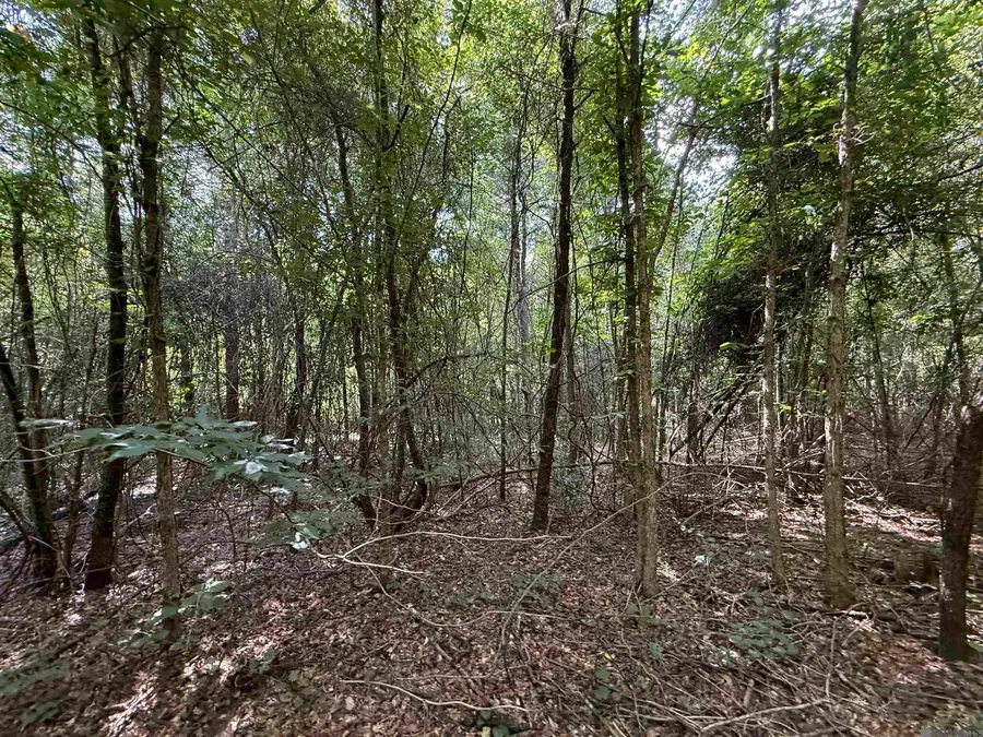 00 Montgomery Rd, Summit, MS 39666 - Image #2