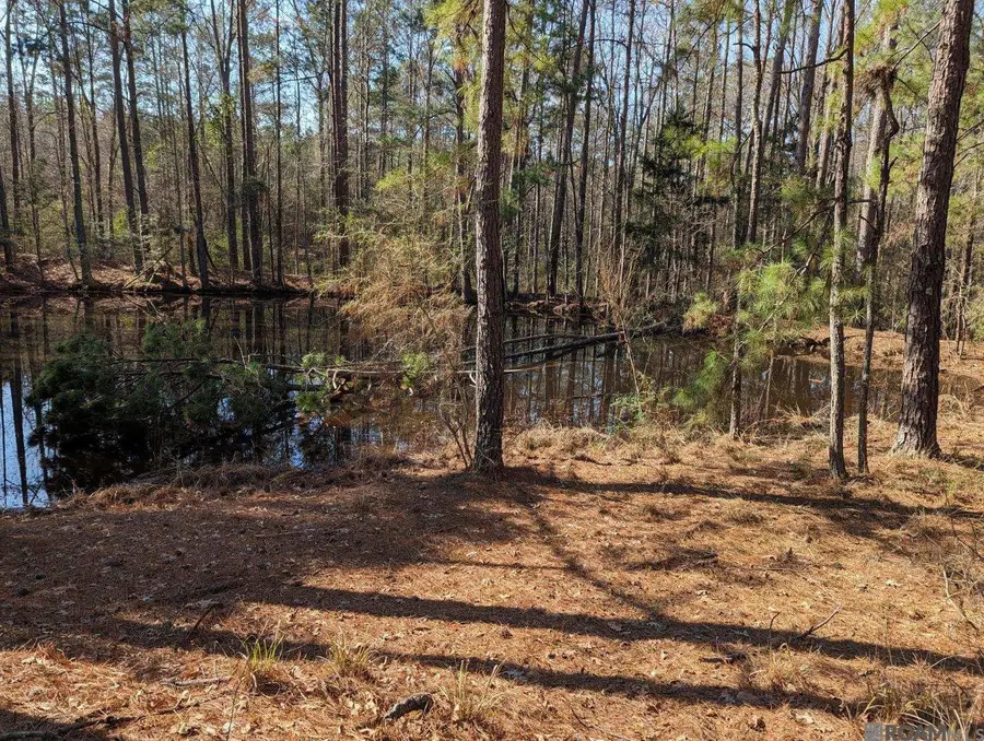 4155 Sterling, Liberty, MS 39645 - Image #2