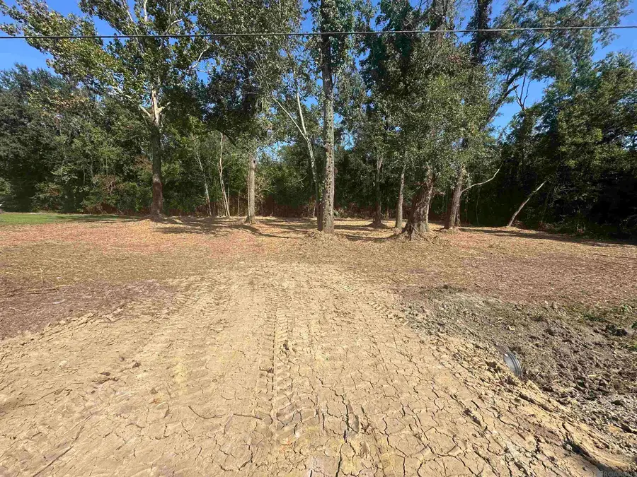 0.53 Acres Split Log Rd, Saint Amant, LA 70774 - Image #3