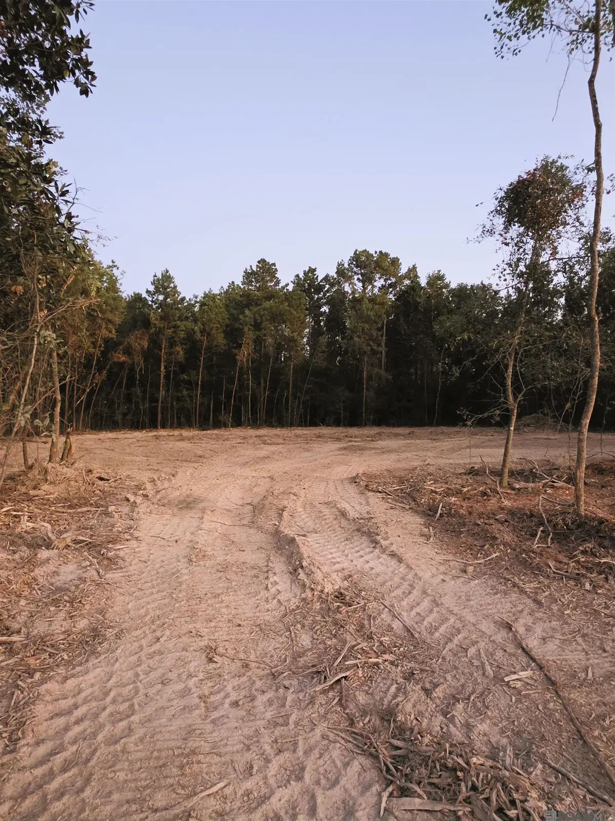 17243 Jack Allen Rd, Livingston, LA 70754 - Image #1