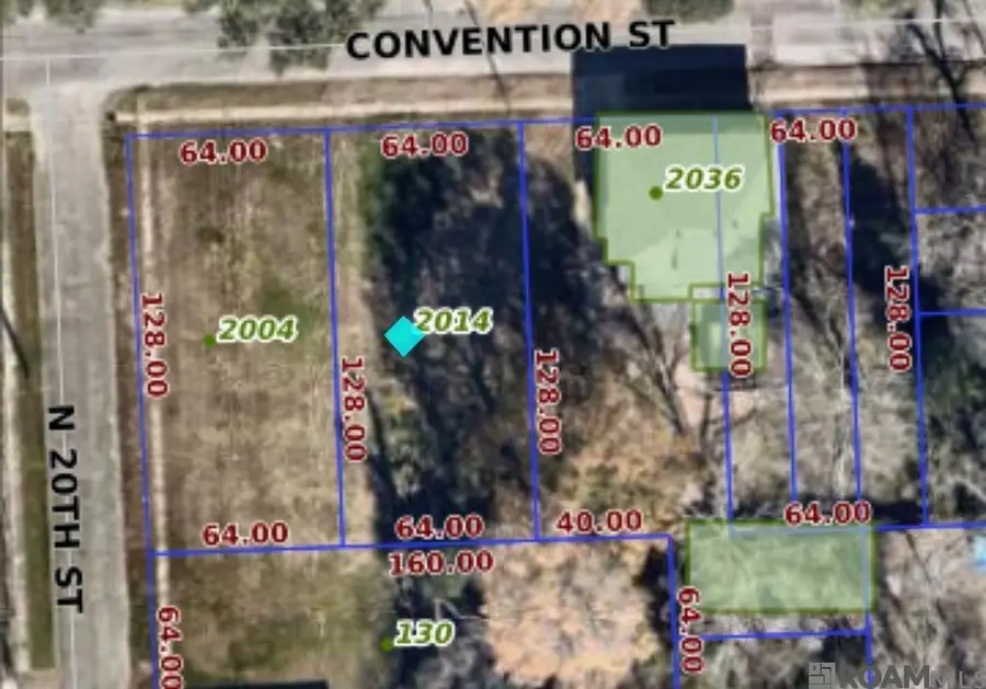 2014 Convention, Baton Rouge, LA 70806 - Image #3