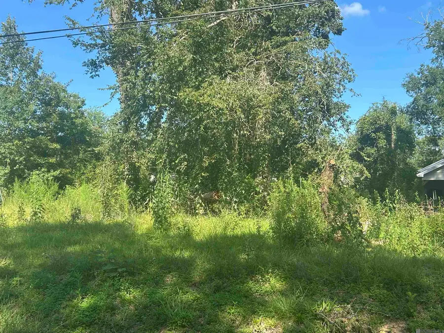 18070 Beechwood Rd, Prairieville, LA 70769 - Image #2