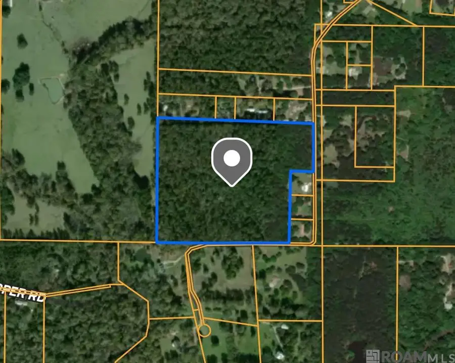 26.85 acres Heritage Acres Ln, Robert, LA 70455 - Image #2