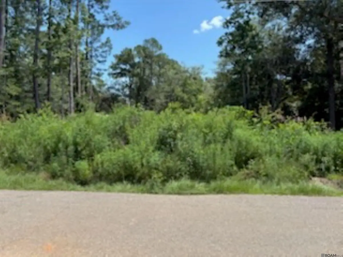 72424 Daisy St, Covington, LA 70435 - Image #1