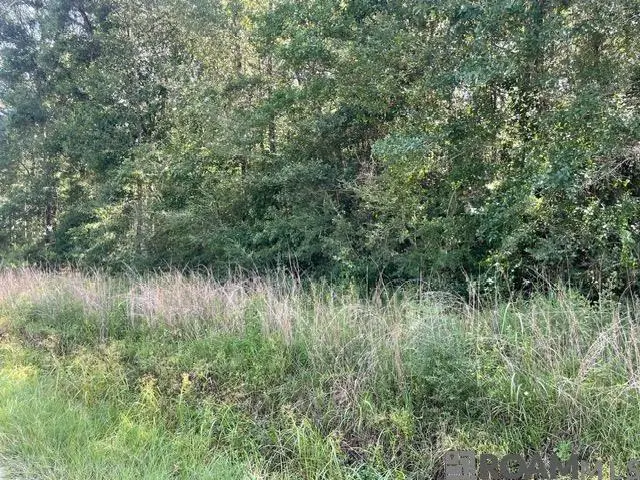 LOT 19 Trap St, Abita Springs, LA 70420 - Image #2