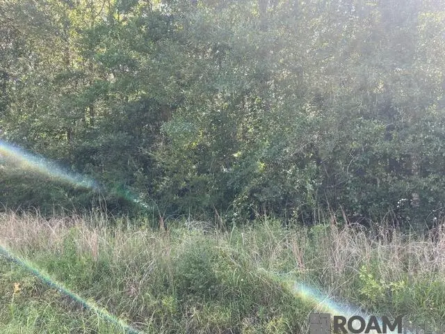 LOT 19 Trap St, Abita Springs, LA 70420 - Image #3