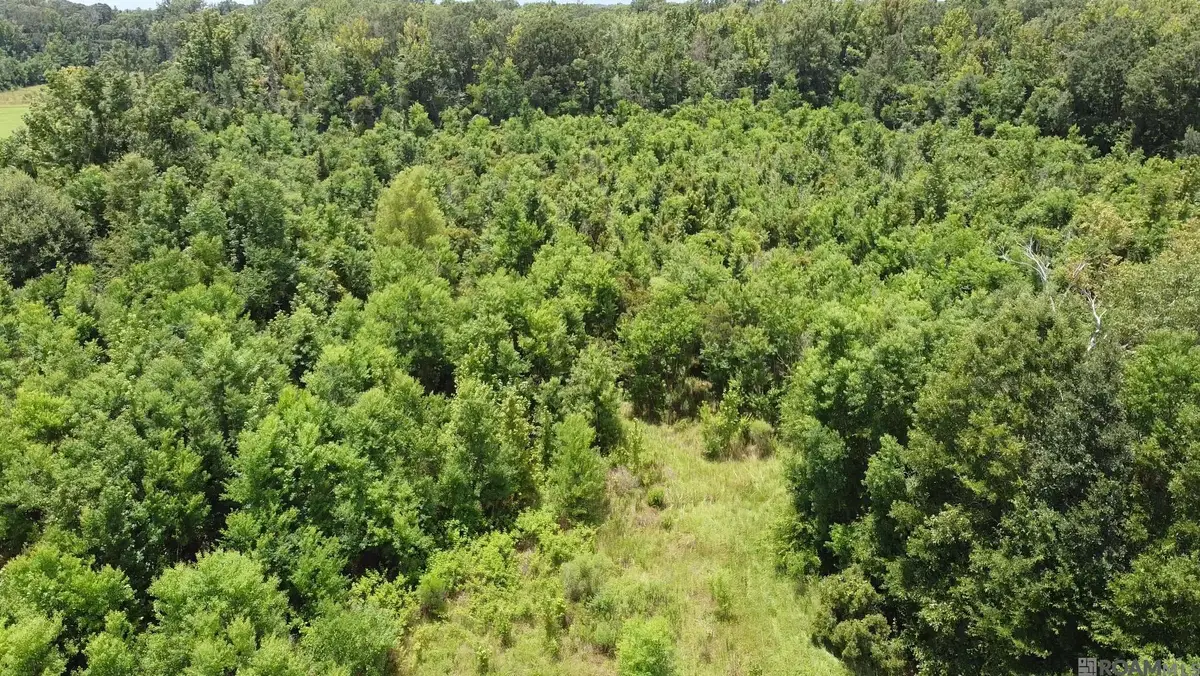 8382 Main St, Zachary, LA 70791 - Image #1