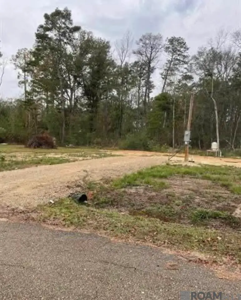 28489 Shadow Lake Dr, Holden, LA 70744 - Image #3