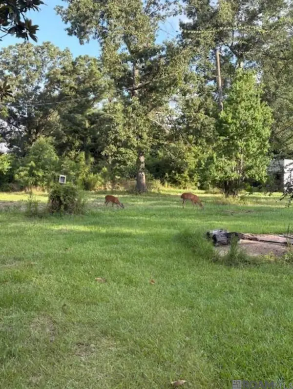 TBD La Hwy 22, Springfield, LA 70462