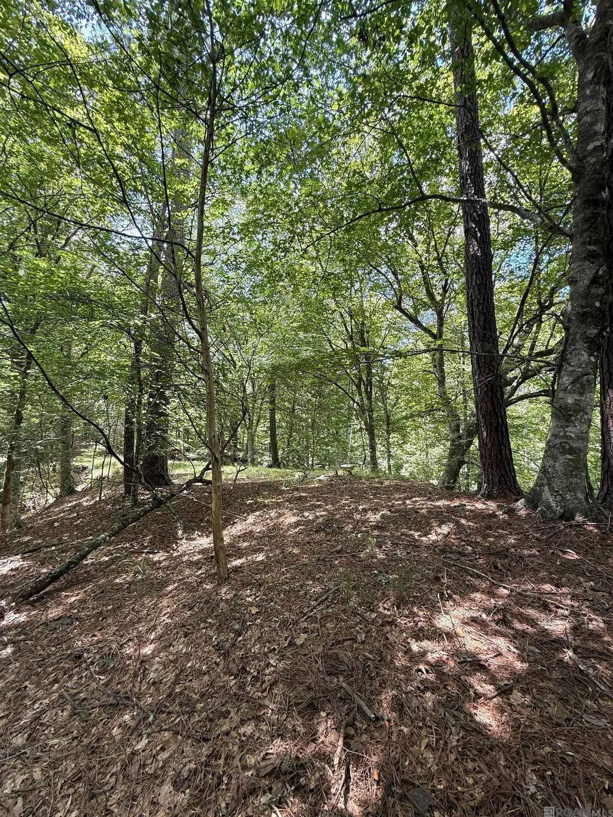 7735a Old Tunica Rd, Saint Francisville, LA 70775 - Image #1