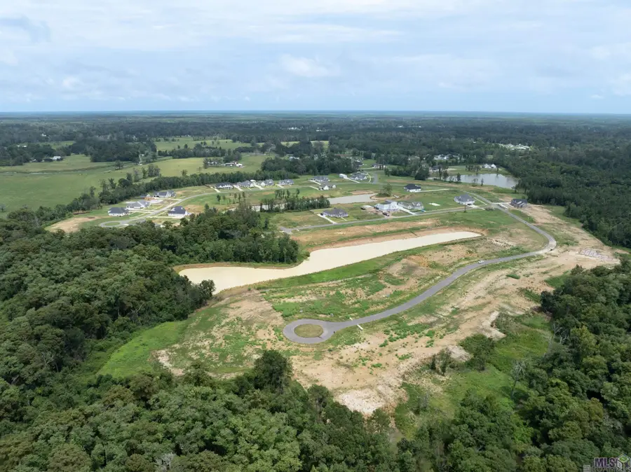 16083 Leni Dr, Prairieville, LA 70769 - Image #2