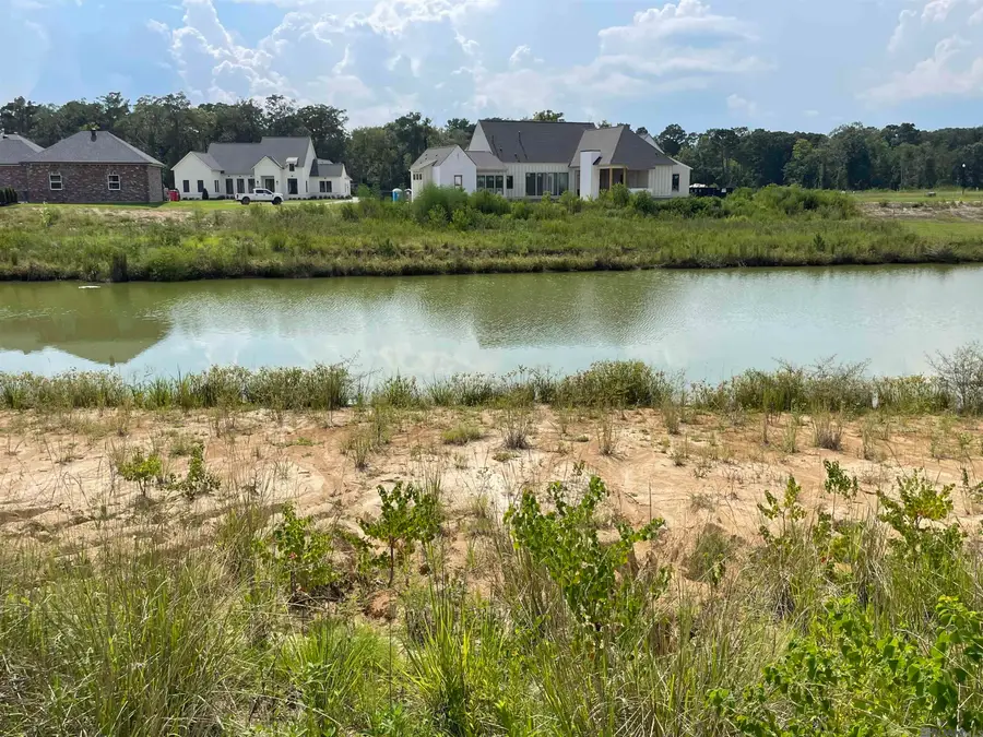 16083 Leni Dr, Prairieville, LA 70769 - Image #3