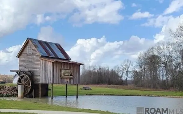 43262 Collyns Cove, Prairieville, LA 70769