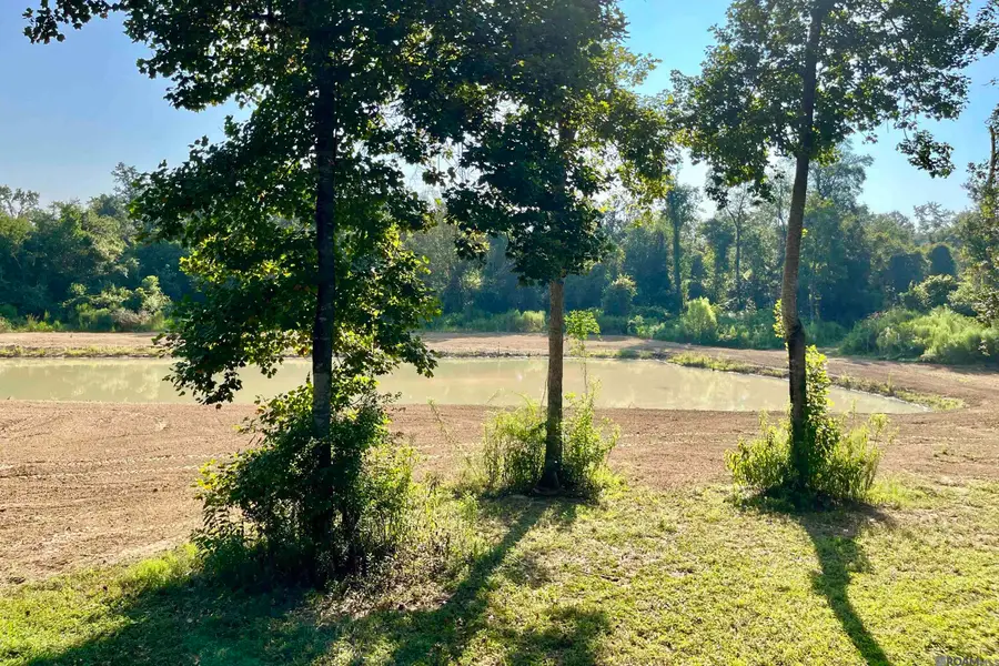 12 Hwy 1062, Loranger, LA 70446 - Image #2