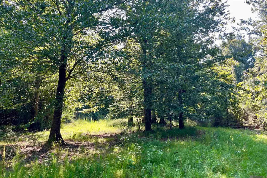 12 Hwy 1062, Loranger, LA 70446 - Image #3