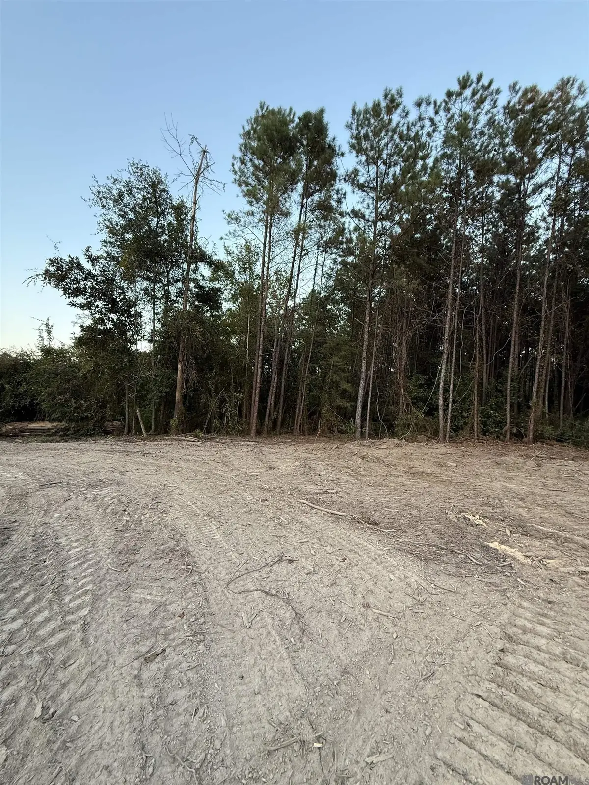 17273 Jack Allen Rd, Livingston, LA 70754 - Image #1