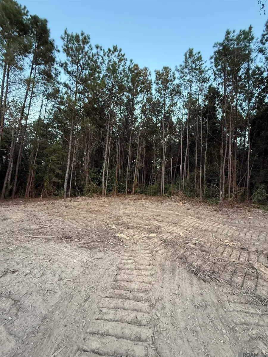 17273 Jack Allen Rd, Livingston, LA 70754 - Image #3