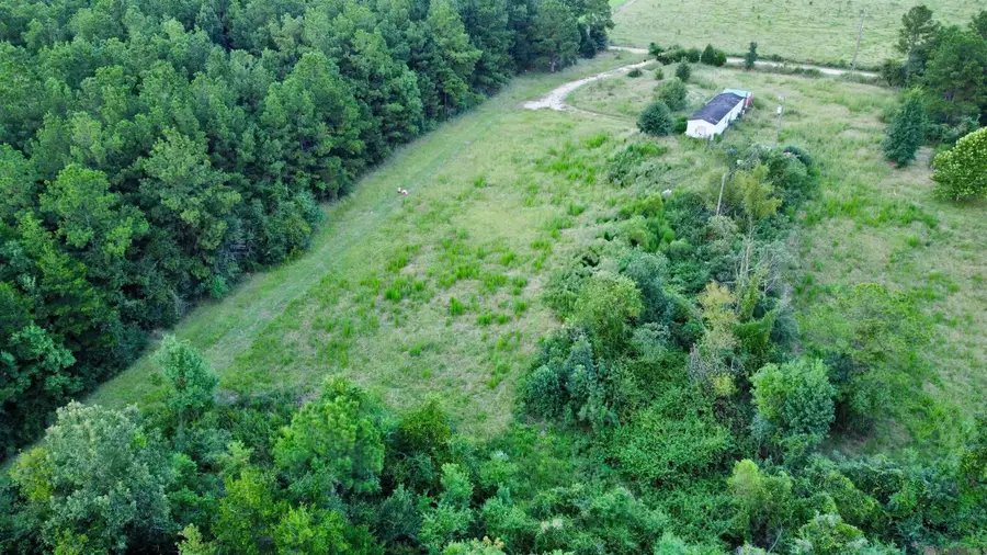 24390 Miller Rd, Livingston, LA 70754 - Image #3