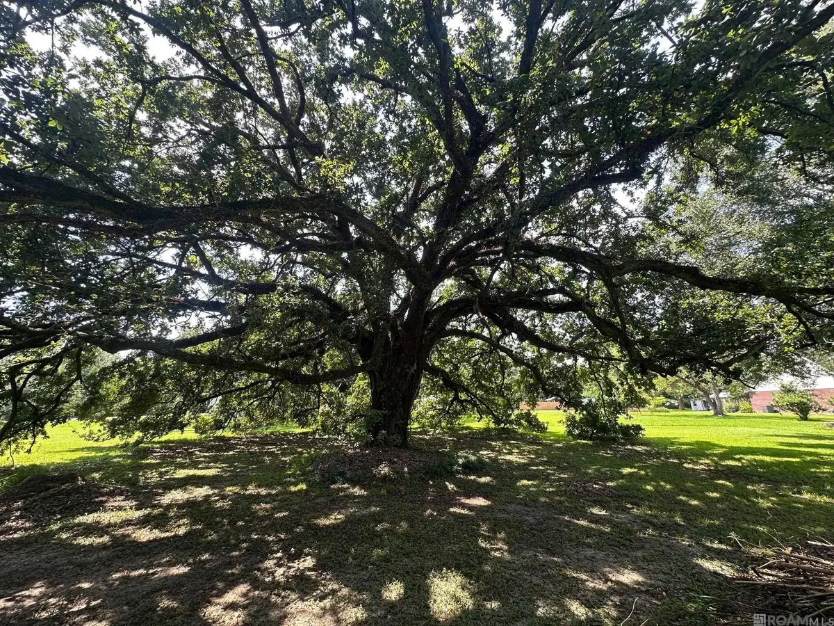 Alex Rd, Gonzales, LA 70737 - Image #1