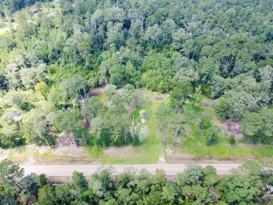 TBD M-2 La Hwy 1036, Holden, LA 70744 - Image #2