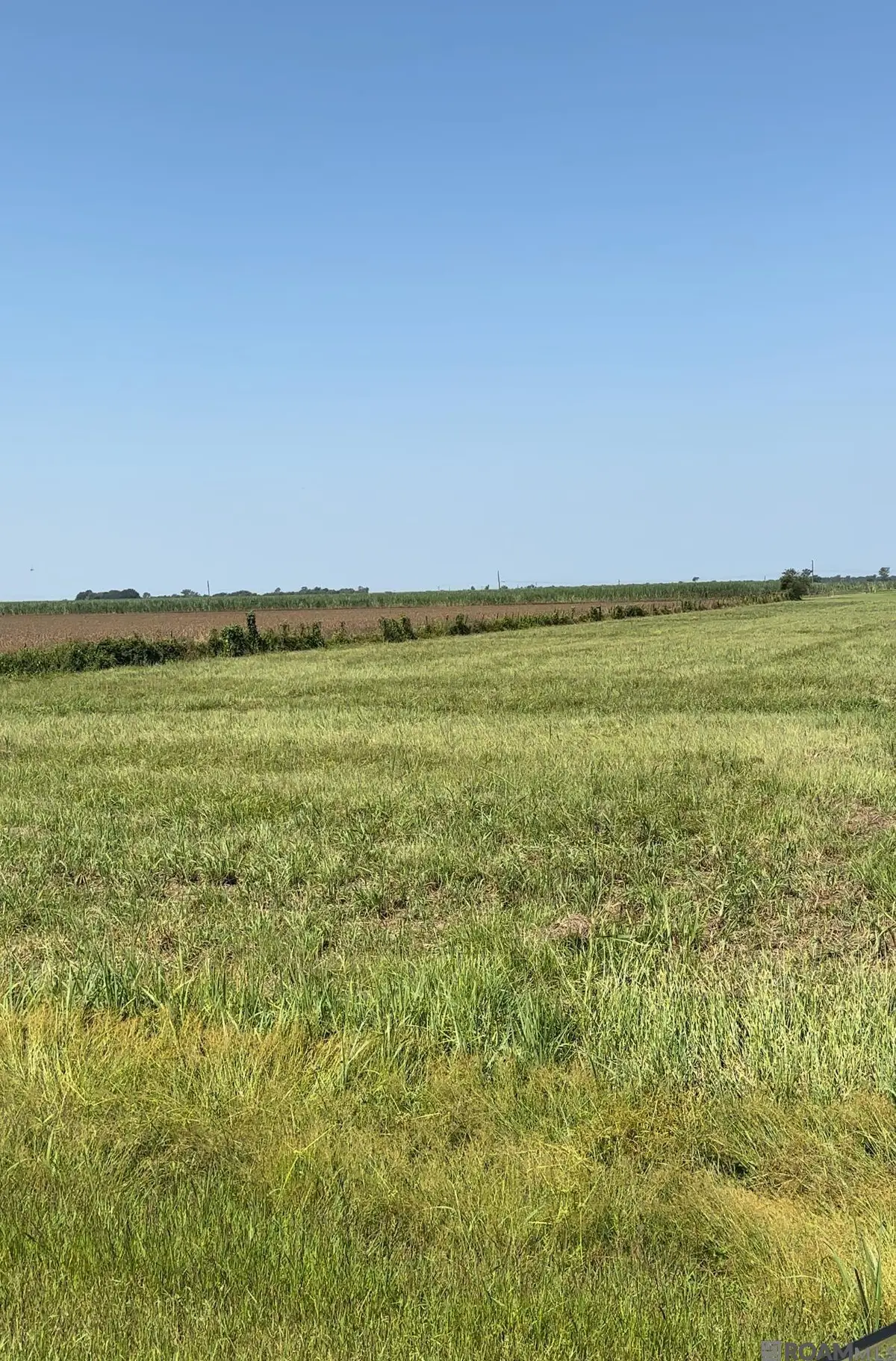 1225 Plumwood St, Port Allen, LA 70767 - Image #1