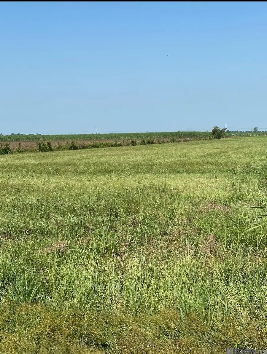 1225 Plumwood St, Port Allen, LA 70767 - Image #2