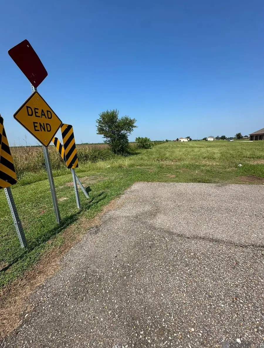 1225 Plumwood St, Port Allen, LA 70767 - Image #3