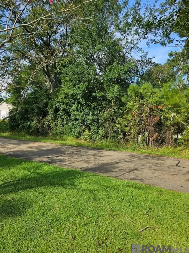 TBD Ratcliff Blvd, Springfield, LA 70462 - Image #1