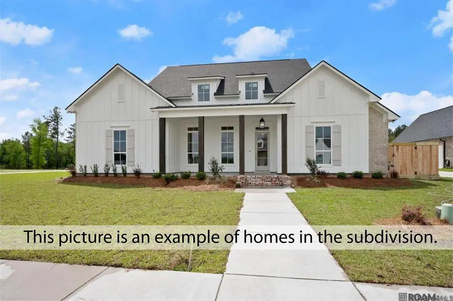 42391 Collyns Cove, Prairieville, LA 70769 - Image #2