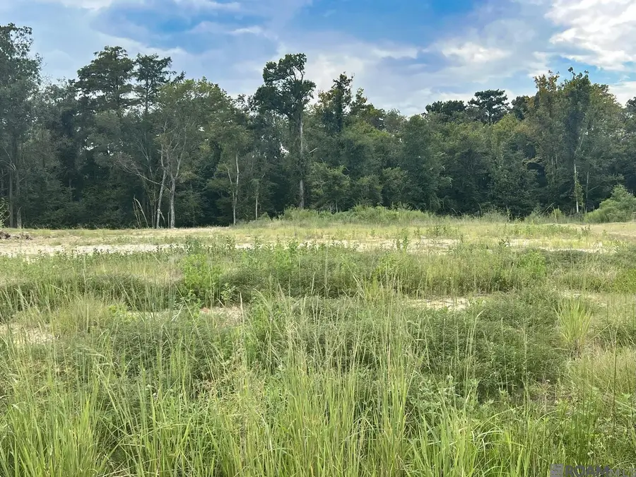 42391 Collyns Cove, Prairieville, LA 70769 - Image #3