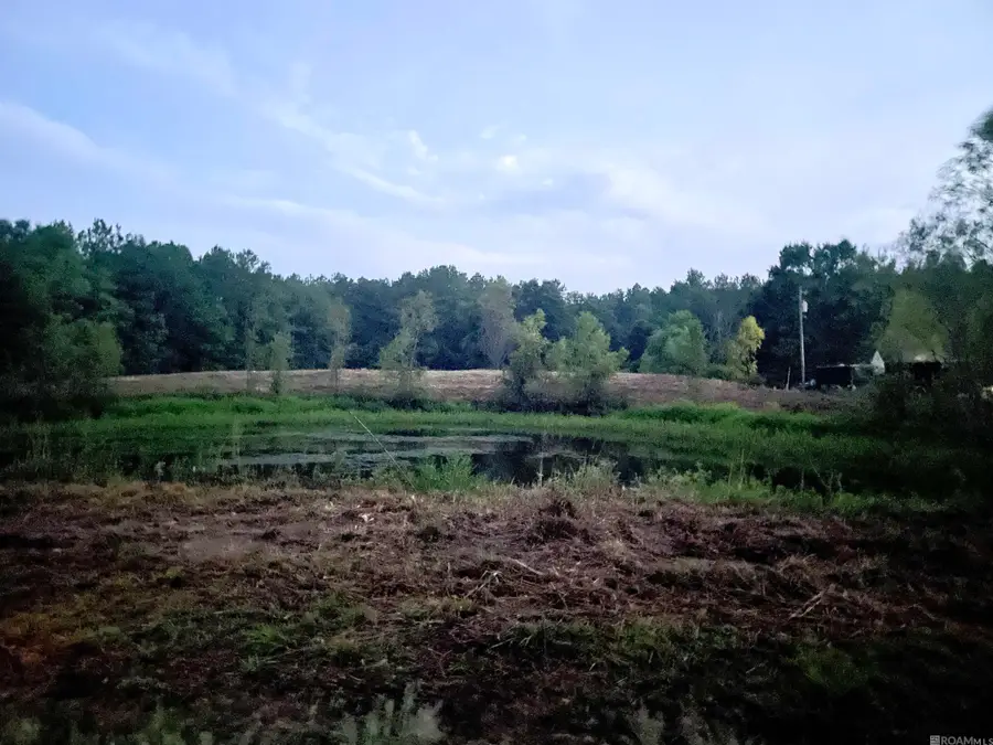 11568 Cypress Dr #17, Denham Springs, LA 70726 - Image #2