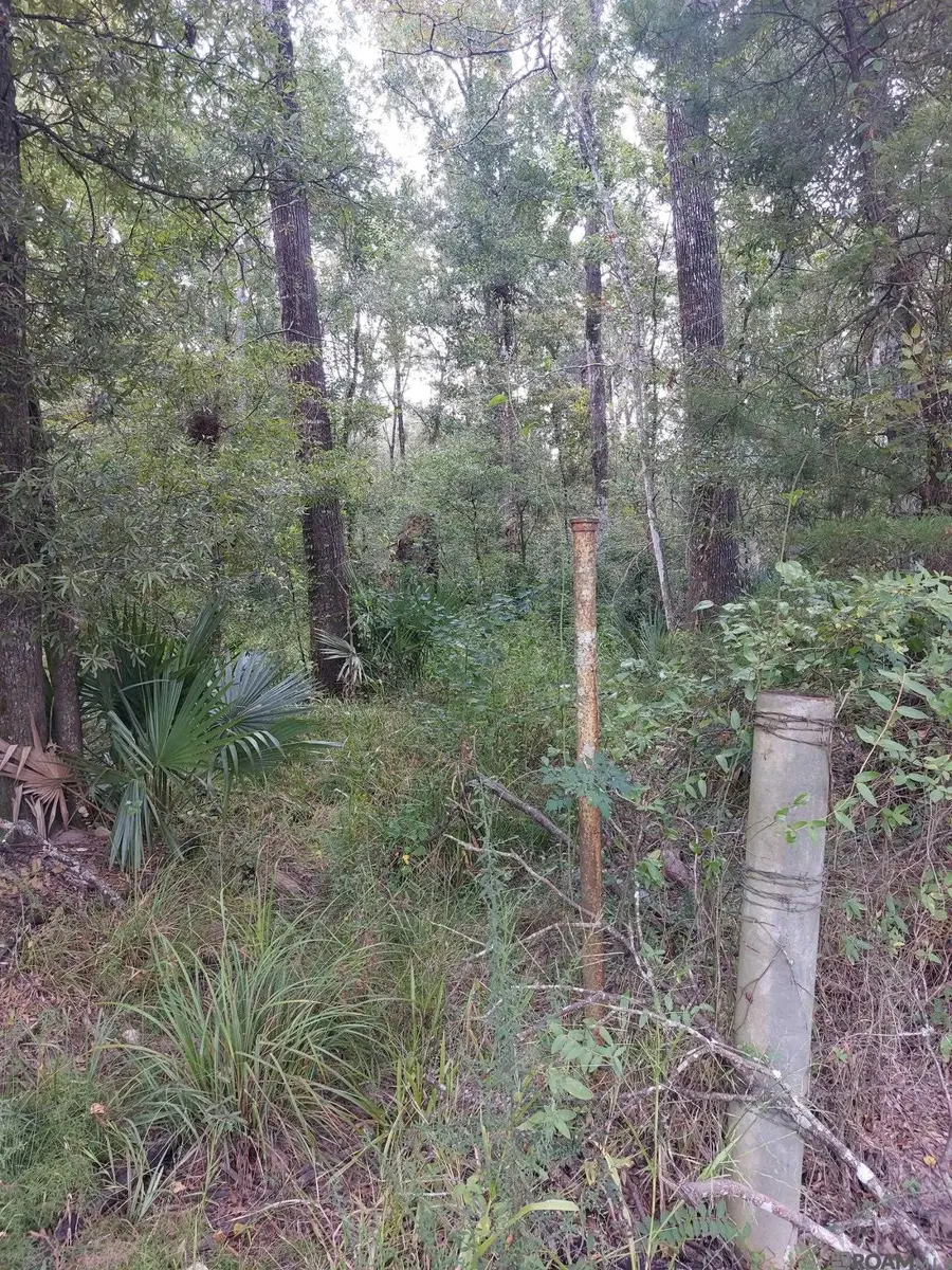 Old Winchester Dr, Denham Springs, LA 70706 - Image #3