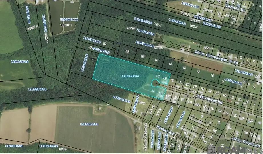 Jack Dwyer Rd, Saint Martinville, LA 70582 - Image #1