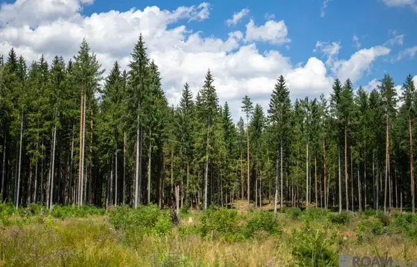 00 Bayou Cumbest Road, Moss Point, MS 39562