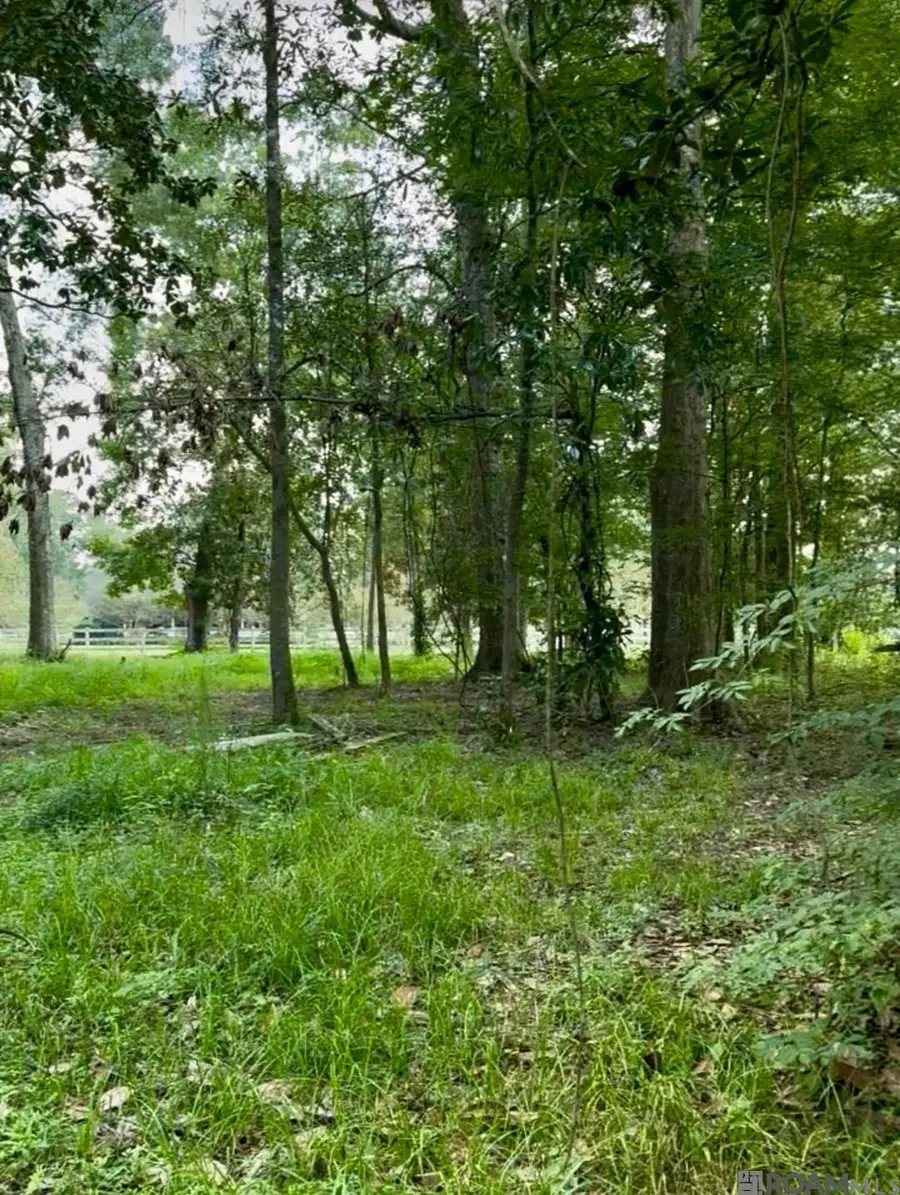 LOT A-1-A Lemon Rd, Slaughter, LA 70777 - Image #3