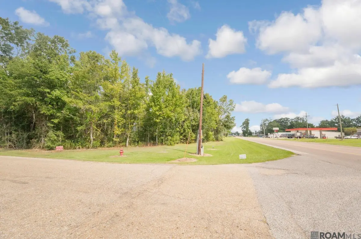 TBD Frost Rd, Livingston, LA 70754 - Image #1