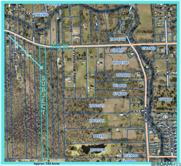 TBD La Hwy 22, St Amant, LA 70774