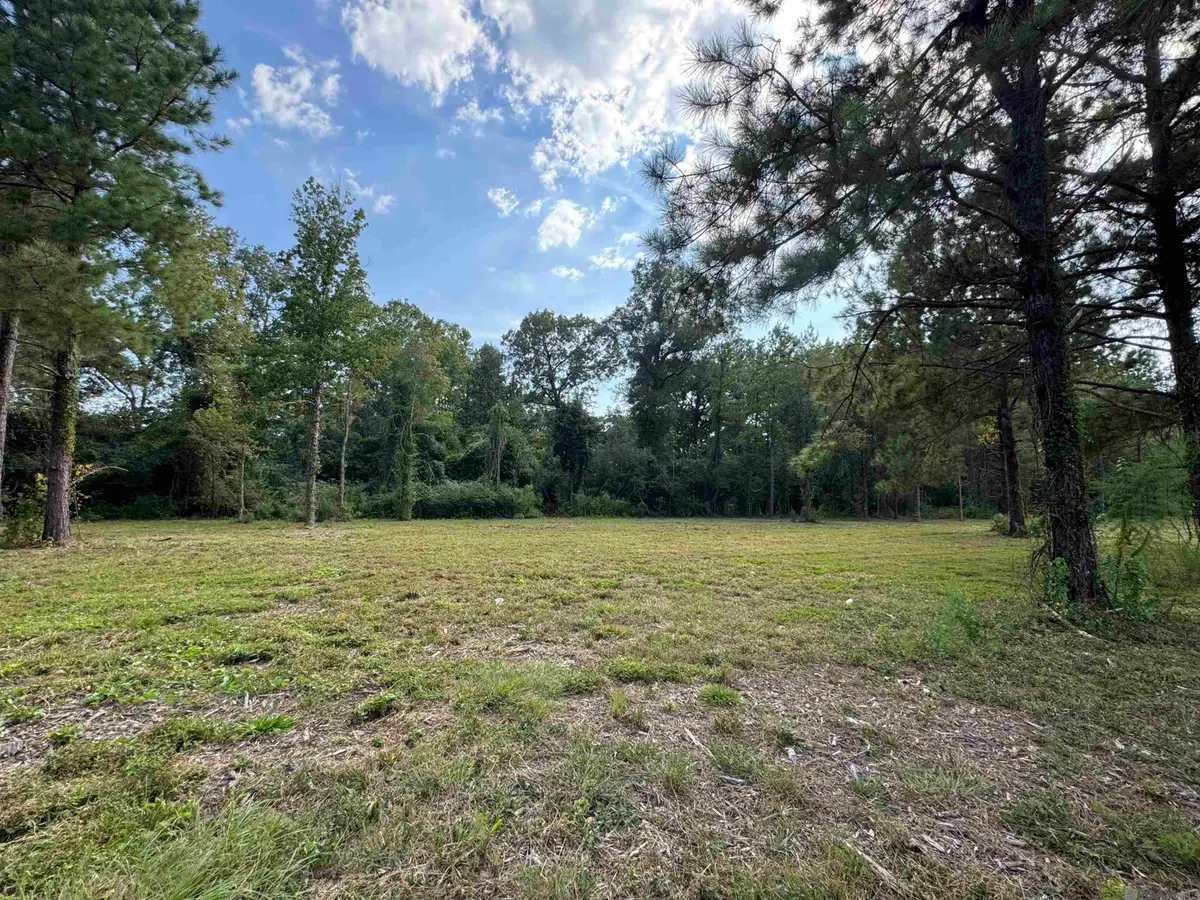 Tract D La Hwy 16, Denham Springs, LA 70706 - Image #1