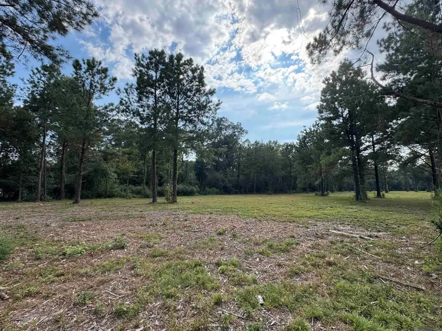 Tract D La Hwy 16, Denham Springs, LA 70706 - Image #3